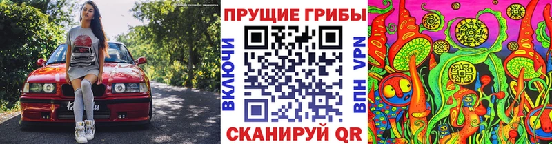 дарк нет состав  Александровск-Сахалинский  Галлюциногенные грибы мицелий 